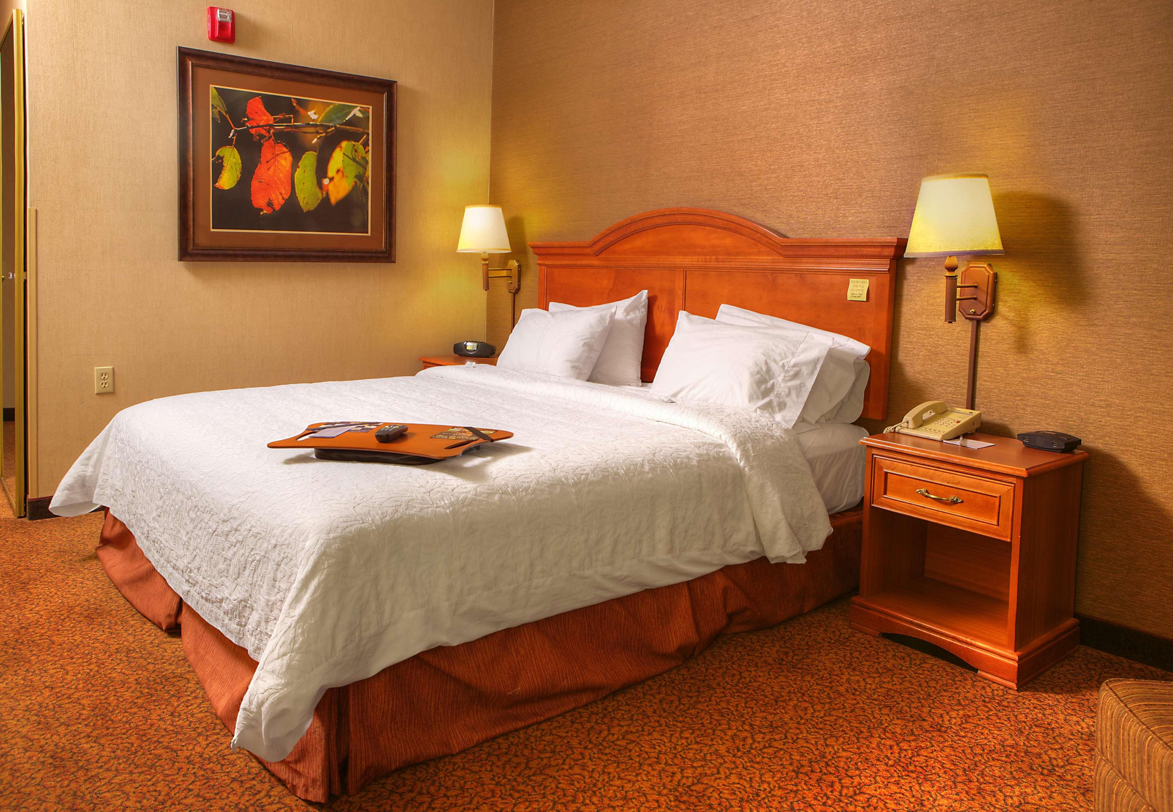 Comfort Inn & Suites Rapid City Near Mt Rushmore Eksteriør bilde